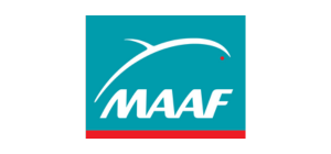 MMAF.png
